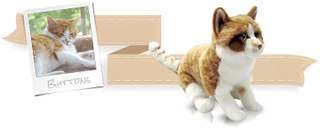 Illustration for article titled This Site Will Make a Stuffed Animal Clone of Your Pet